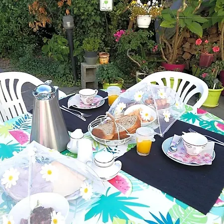 Comme Chez Soi